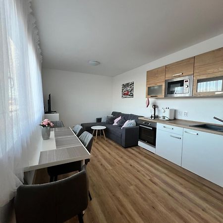 Apartman Roda2 Male Lipno Cerna v Posumavi Exterior photo